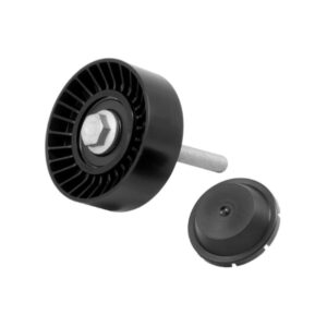 POLIA DO TENSOR COMPRESSOR AUDI A1 - INA 5320346100