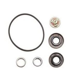 REPARO DA BOMBA ALIMENTADORA MERCEDES BENZ 1215C - ROCHEPECAS 0030917401
