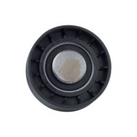 POLIA GUIA DA CORREIA DENTADA COM SUPORTE - RANALLE R4415 - Image 2