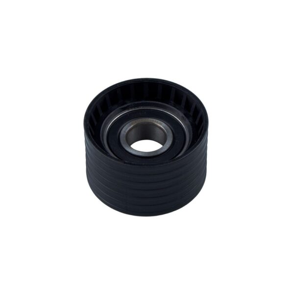 Polia Guia da Correia Dentada - RANALLE R4608