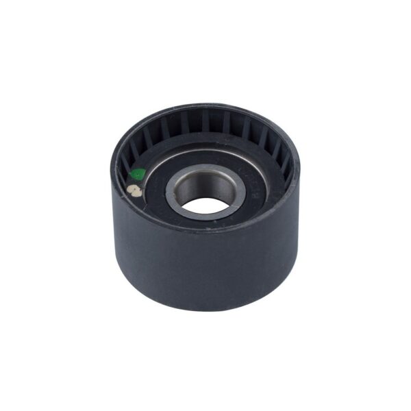 Polia Guia da Correia Dentada RENAULT MEGANE/SCENIC - RANALLE R4609