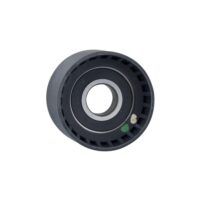Polia Guia da Correia Dentada RENAULT MEGANE/SCENIC - RANALLE R4609 - Image 2