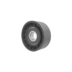 POLIA DO TENSOR DA CORREIA DA DIREÇÃO BMW X5 - NYTRON 1188
