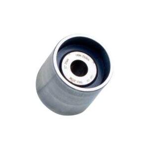 Polia Guia da Correia Dentada - SKF VKM21004H