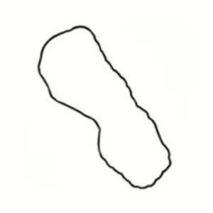 Junta do Cárter VOLVO FH12 - ROCHEPECAS 20532272